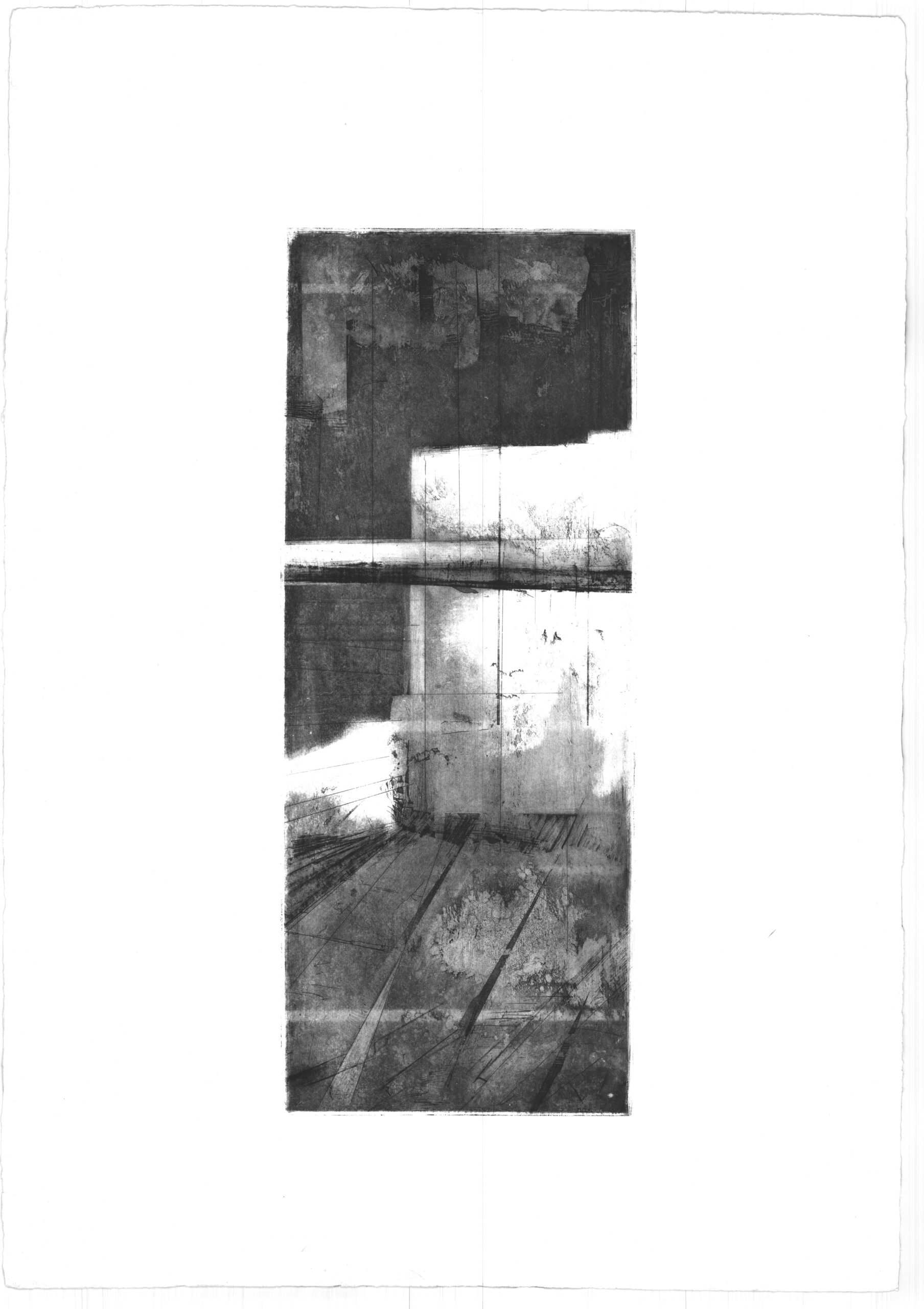 Articolo senza titolo 358